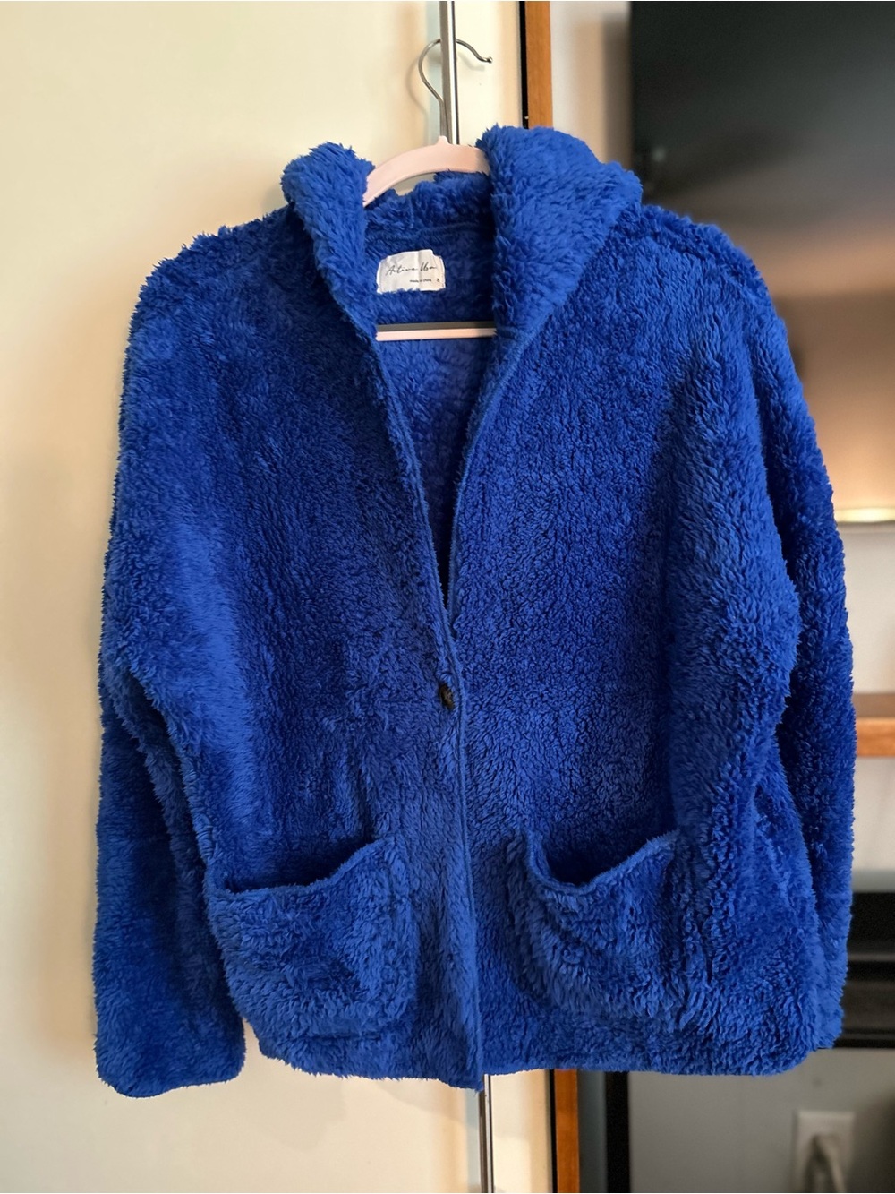Active USA Plush Hooded Teddy Jacket in Blue